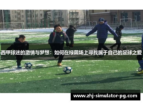 西甲球迷的激情与梦想：如何在绿茵场上寻找属于自己的足球之爱